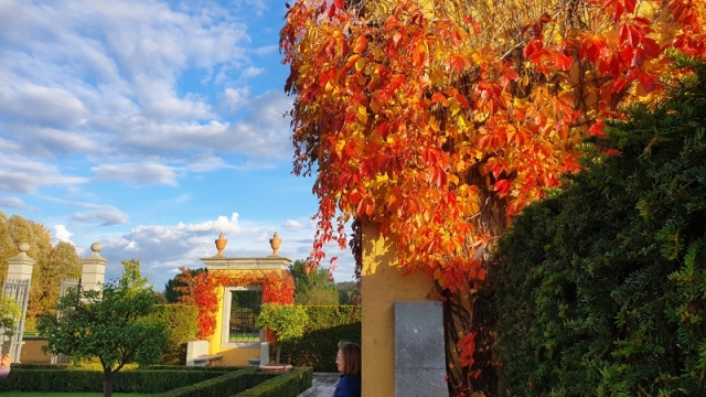 11 Herbst 2020 Renaissancegarten (800x450)