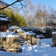 14 Winter 2021 Koreanischer Garten (800x450)