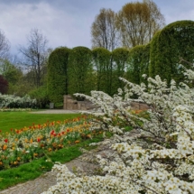 4 Frühling 2021 Blumentheater (800x450)