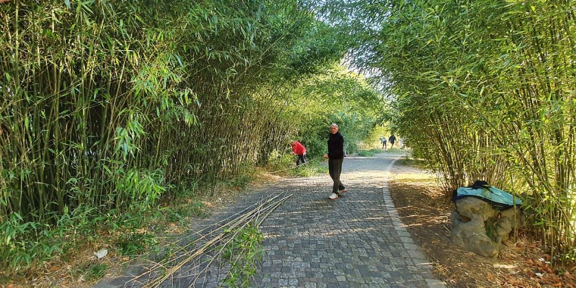 Bambus-Subbotnik am 30.10.2021