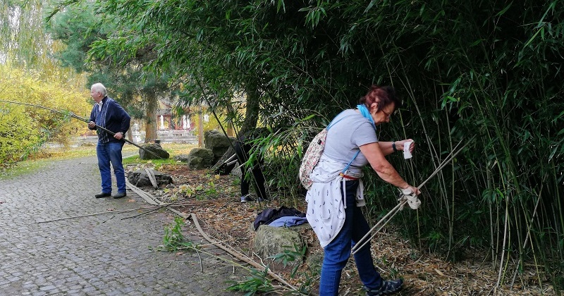 Gemeinsam macht’s Spaß – Bambus lichten im Chinesischen Garten