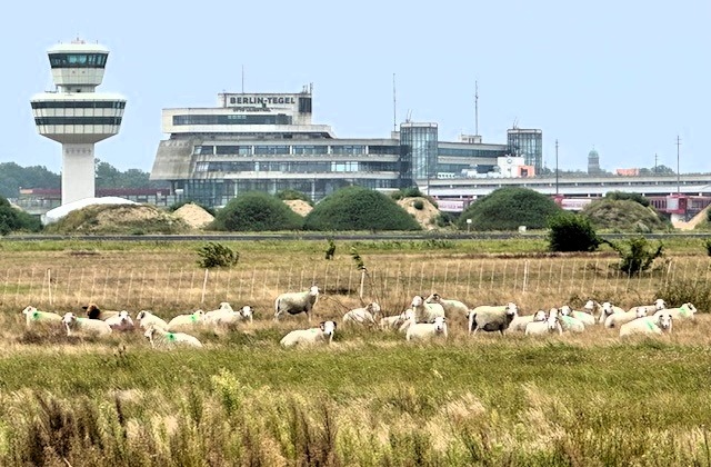 Vom Flugfeld zum Landschaftspark