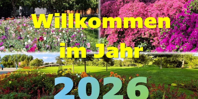 Neujahrsgrüße des Vorstandes